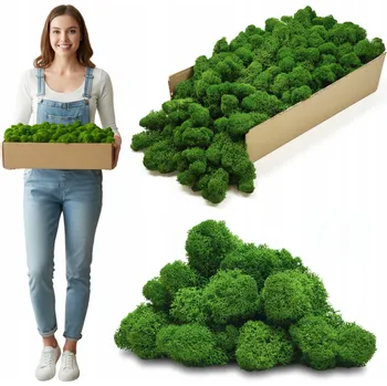 Obraz Mech CHROBOTEK sobí stabilizovaný dekorativní přírodní ZELENÝ DIY