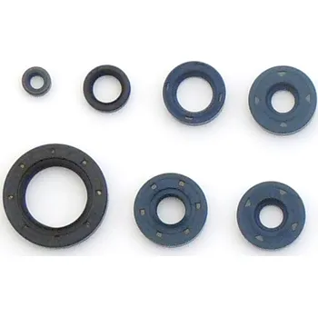 Těsnění motoru ATHENA sada gufer motoru BMW F650 GS 99-08, F650/ST 93-98, F650 CS, G650 GS/X, BOMBARDIER DS 650 00 (ATHENA sada gufer motoru BMW F650 GS 99-08, F650/ST 93-98, F650 CS, G650 GS/X, BOMBARDIER DS 650 00)