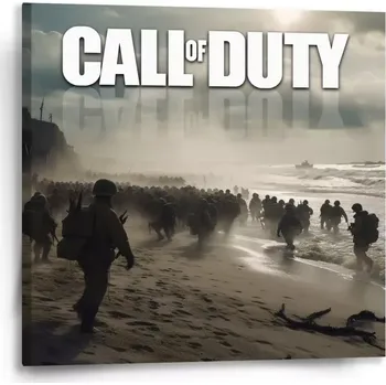 Obraz Sablio Obraz Call of Duty Normandie - 50x50 cm