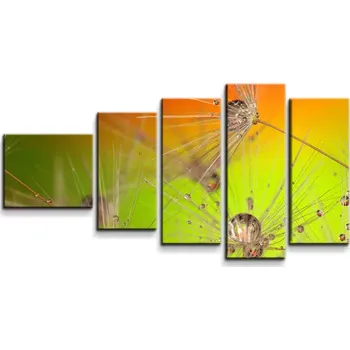 Obraz Sablio Obraz - 5-dílný Odkvetlé pampelišky - 100x60 cm