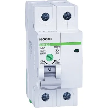 vypínač Noark 100869 Ex9I125 2P 40A Instalační vypínač, šířka 2 moduly, 2pól, 40A (Ex9I125 2P 40A)