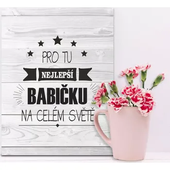 Plechová cedule Sablio Dárková cedulka Pro tu nejlepší babičku: 30x40 cm