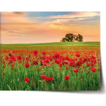 Plakát Sablio Plakát Pole vlčích máků 2 - 60x40 cm