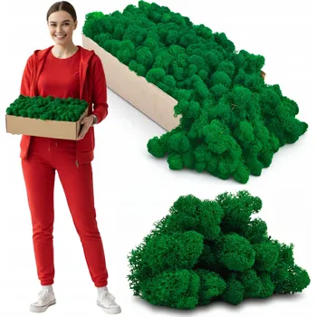 Obraz Mech CHROBOTEK sobí stabilizovaný dekorativní přírodní ZELENÝ DIY