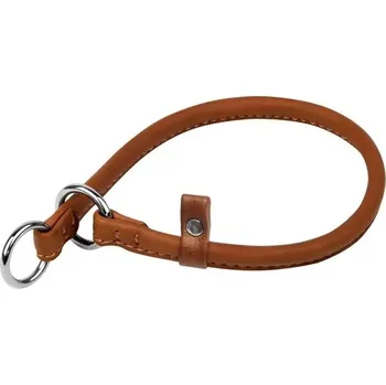 Obojek pro psa Kožený obojek pro psa s dotažením Waudog, velikost: 30 cm, šířka: 6 mm