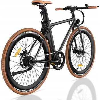 Elektrokolo Elektrokolo (do 250 W) Fafrees F1 velikost rámu L, kolo 29", černé, 250 W
