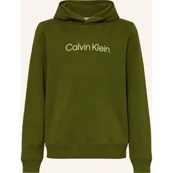 Pánská mikina Calvin Klein Chlapecká Mikina S Kapucí Logo Reg, Mikina S...