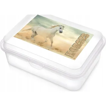 Dóza na potraviny Orion Svačinový Box 750 ml