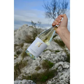 Víno Dobré Secco 2024, moravské zemské víno - perlivé, Vinařství Ladislav Holec, suché