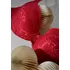 Podprsenka TIMO LovelyBra Rouge 999 040818 červená, 80B