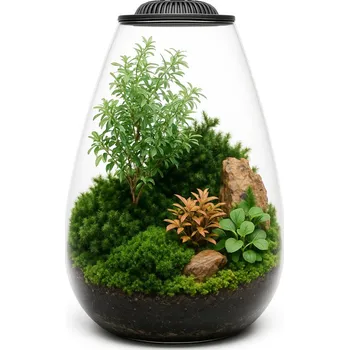 INVITAL MicroTerrarium 6 l