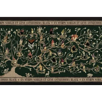 Plakát Plakát, Obraz - Harry Potter – Rodokmen Blackových / Rodokmen rodu Blacků