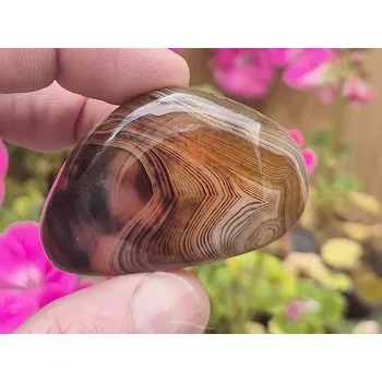 Sběratelství Achát sardonyx troml 58g