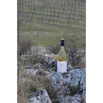 Víno Pálava vol.2 2024, moravské zemské víno, Vinařství Ladislav Holec, sladké