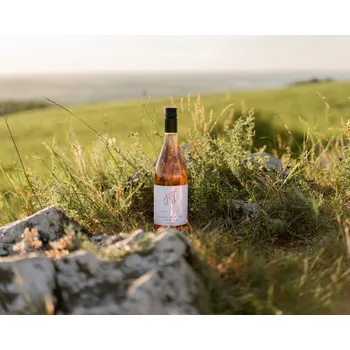 Víno Rulandské modré ROSÉ 2023, zemské víno, Vinařství Ladislav Holec, polosuché