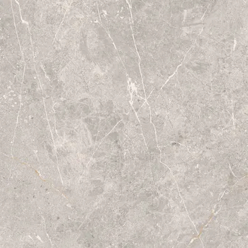 Dlažba DLAŽBA COLDY GREY MAT 59,8X59,8