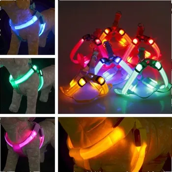 Obojek pro psa Reedog svíticí kšíry pro psy a kočky - Modrá - L