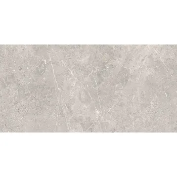 Dlažba DLAŽBA COLDY GREY MAT 59,8X119,8