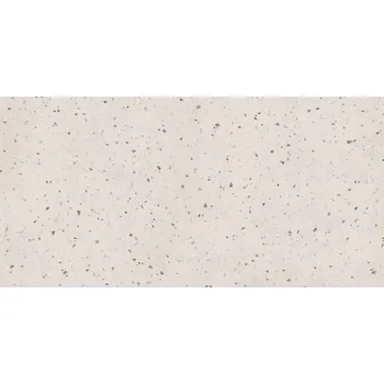 Dlažba DLAŽBA TERRAZZO GREY MAT 59,8X119,8 (II. JAKOST)