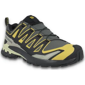 Pánská běžecká obuv Salomon Xa Pro 3D V9 GTX M L47980400 - urban chic/black/cress green 46