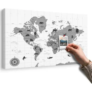 Obraz Dovido Obraz na korku mapa se zvířaty v černobílém provedení