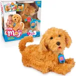 Moji Interaktivní pejsek