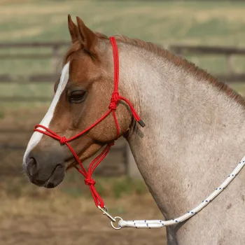BUSSE Ohlávka provazová Smooth II BUSSE, red SHETTY