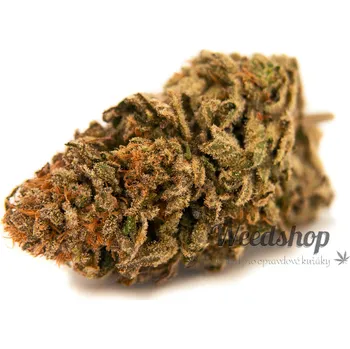 CBD CBD konopí - Gorilla - Weedshop Váha: 3 g