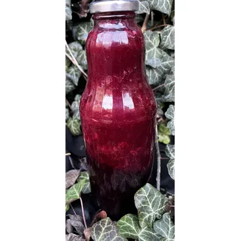 Sirup Sirup ostružina, 1 l