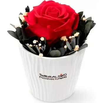umělá květina Aranže stabilizovaná růže Cindy