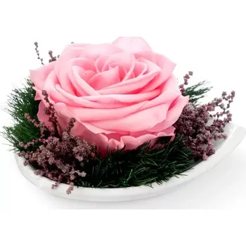 umělá květina Aranže stabilizovaná růže Tereza