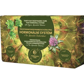 Dárkový potravinový koš 30denní biodynamická kúra pro hormonální systém s Bio Levandulí Chodouňskou