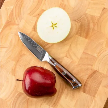 Gudaro - Damaškový kuchyňský nůž FENG 3,5", 67 vrstev oceli, délka 9,5 cm