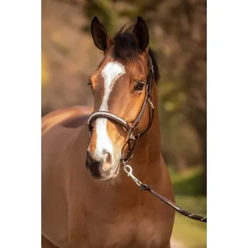 Kožená ohlávka Penelope Harmonie černá FULL