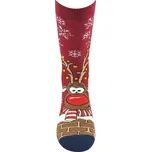 Boma froté ponožky Rudy I vínová vel. 35-41