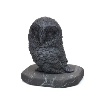 Sova pálená velká