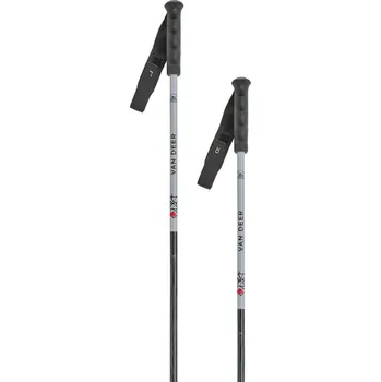 Sjezdové lyžování Van Deer Race Carbon - grey/black 115