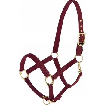 IP kamera Uzda Covalliero 0 červený