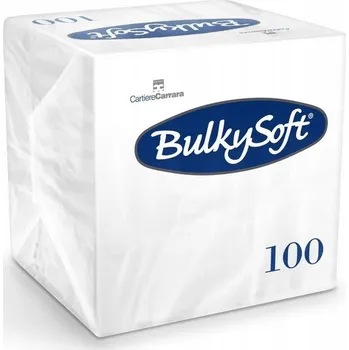 Papírový ubrousek Ubrousky BulkySoft 24x24 cm, 2vrstvé, celulózové, bílé (100 ks)