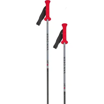 Sjezdové lyžování Van Deer Race GS Carbon - grey/black/red