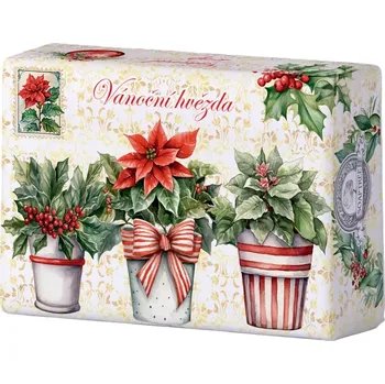 Koupelová kosmetika MÝDLO PŘÍRODNÍ VÁNOČNÍ HVĚZDA 200G