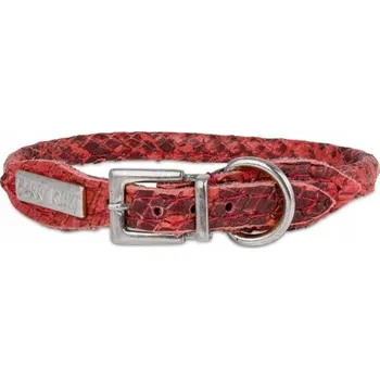 Obojek pro psa Kožený obojek pro psa Barry King vel. XS