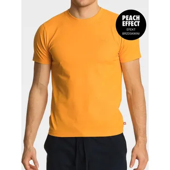 Pánské tričko Pánské tričko s krátkým rukávem ATLANTIC velikost S orange
