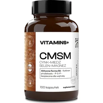 CMSM ZINEK -MĚĎ SELEN HOŘČÍK 100 kapslí .