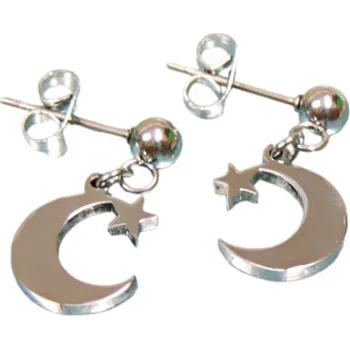 Náušnice Náušnice s měsíčkem a hvězdou v stříbrné barvě, pár, kód produktu: 7NE10702.