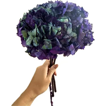 umělá květina Stabilizovaná hortenzie fialovomodrá svazek