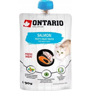 Krmivo pro kočku Ontario 90g masová pasta s lososem pro kočky