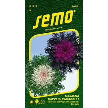 Semeno PEACOCK F1 MIX - 20 ks