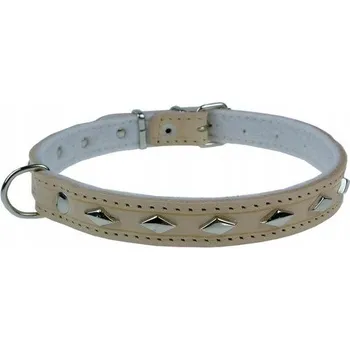 Obojek pro psa Kožený obojek pro psa Champion vel. M