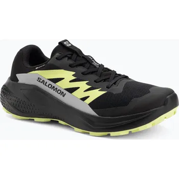 Pánská běžecká obuv Pánské běžecké boty Salomon Alphaglide GTX black/alloy/sharp green